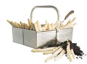 aspergebak.jpg